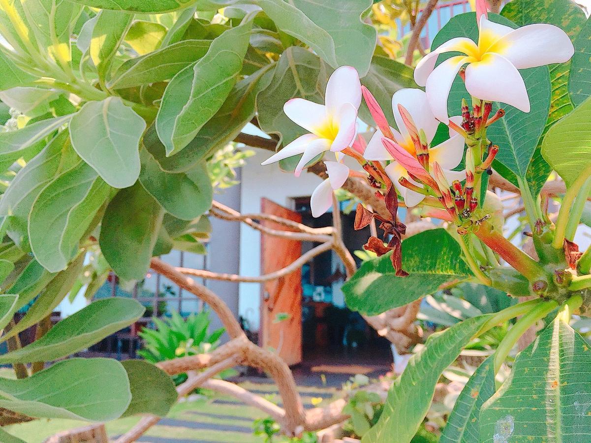 ฟัน สเปซ อินน์ เขิ่นติง ภายนอก รูปภาพ